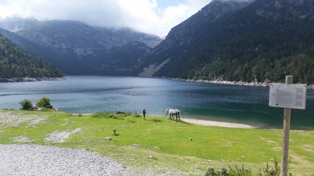 Lac de montagne entouré de forêts dans la réserve du Néouvielle