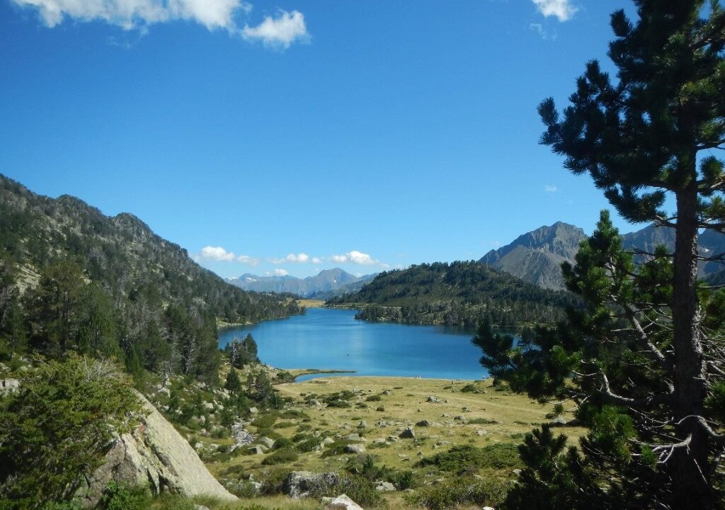 Lac et pins dans la réserve naturelle du Néouvielle