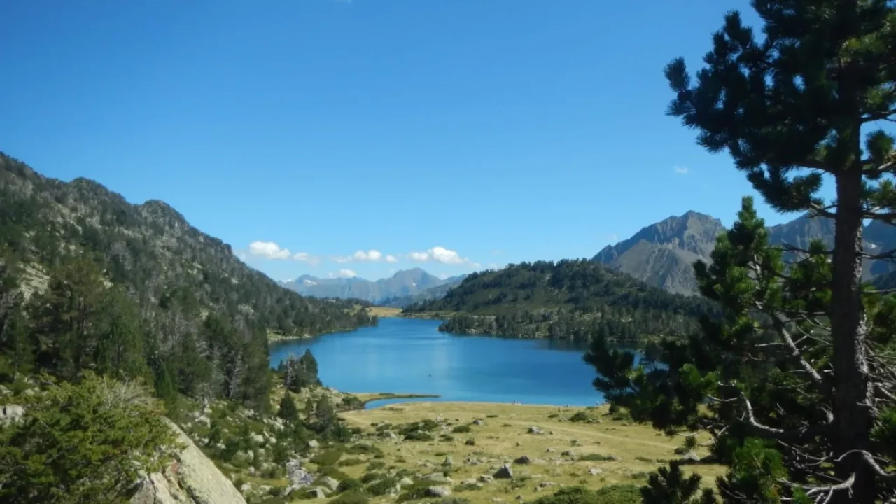 Lac et pins dans la réserve naturelle du Néouvielle