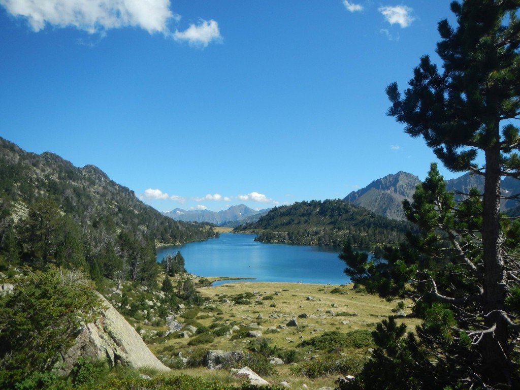 Lac et pins dans la réserve naturelle du Néouvielle
