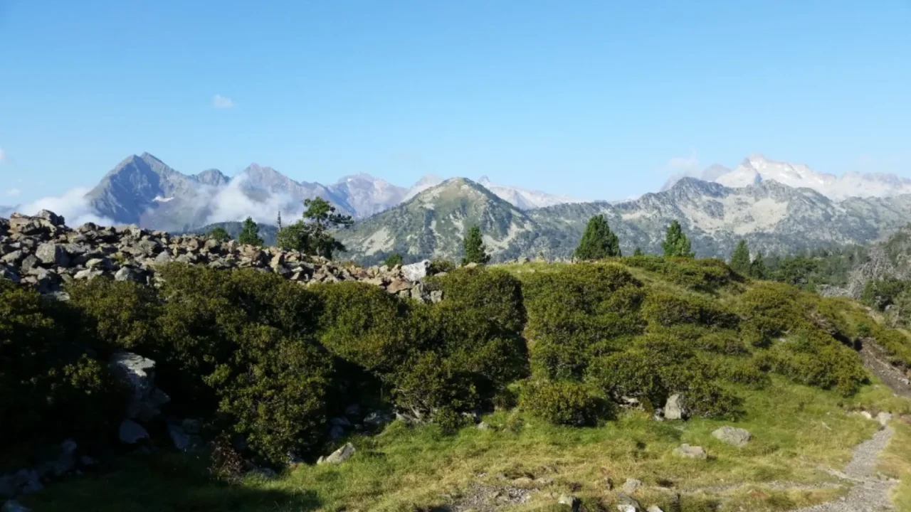 Panorama estival des Pyrénées
